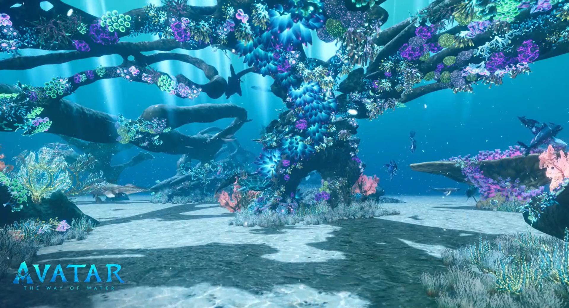oceano virtual inspirado em Pandora, planeta do filme Avatar