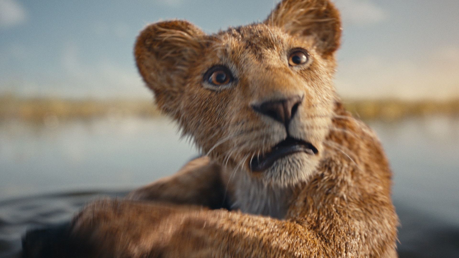 Disney divulga trailer e pôster de Mufasa: O Rei Leão